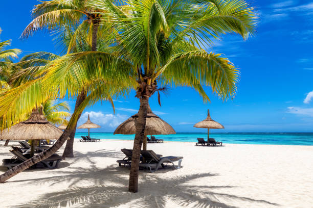 Top Attractions to Include in Your Mauritius Holidays Itinerary