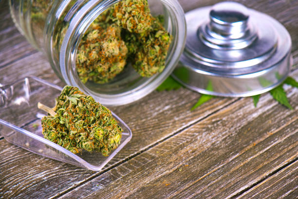 Barcelona Cannabis Guide: Karte, Tipps und häufige Fehler vermeiden